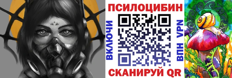 Галлюциногенные грибы мицелий  даркнет сайт  Власиха 